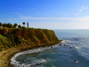 Point Vicente and the Whale Highway